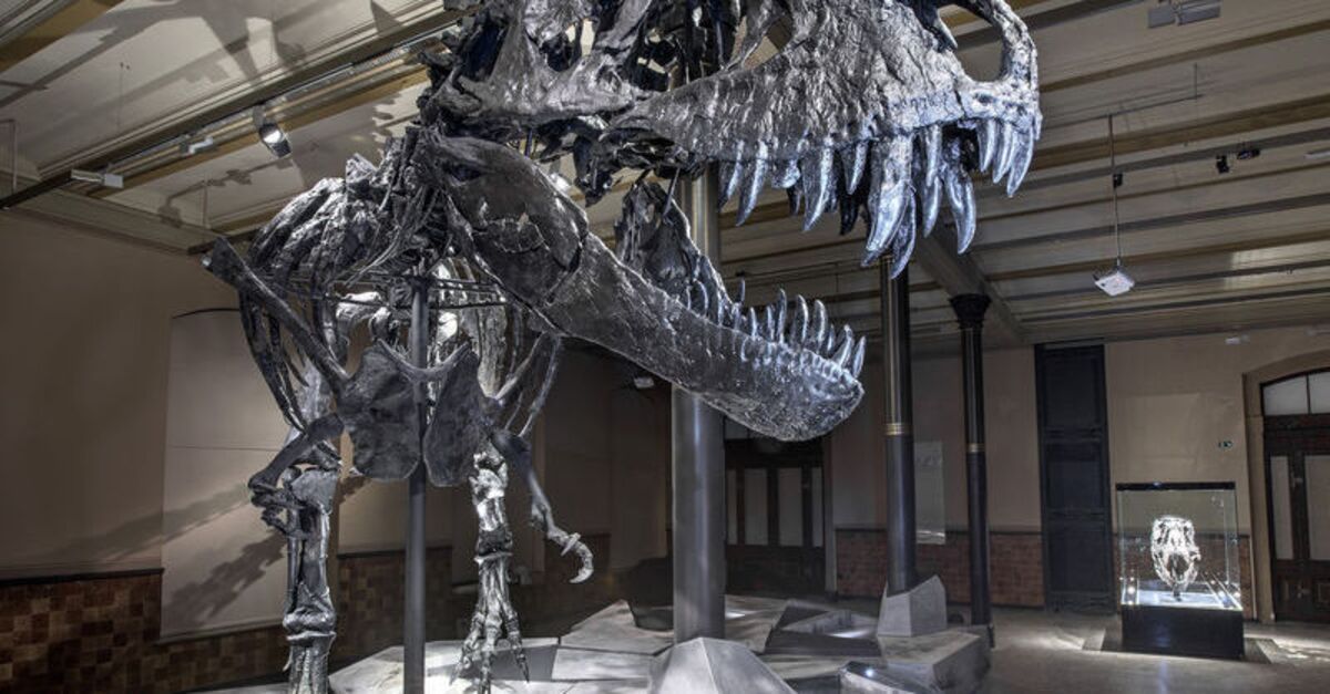 T-Rex vücut sıcaklığı kaç derece? İnsanlarla şaşırtan benzerlik