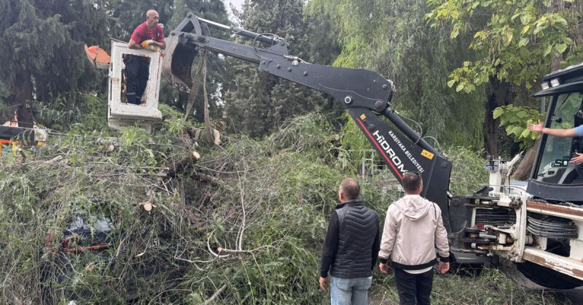 İzmir Karşıyaka'da ağaç devrilen 4 otomobil hasar gördü