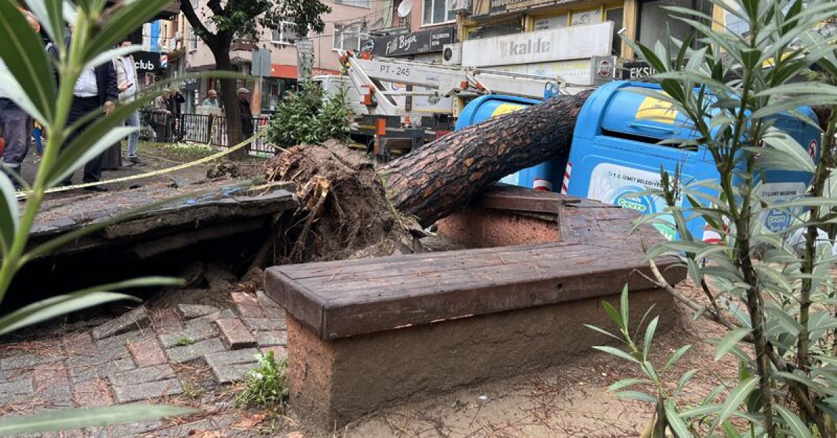 İzmit'te parkta devrilen ağaç sokağı kapattı