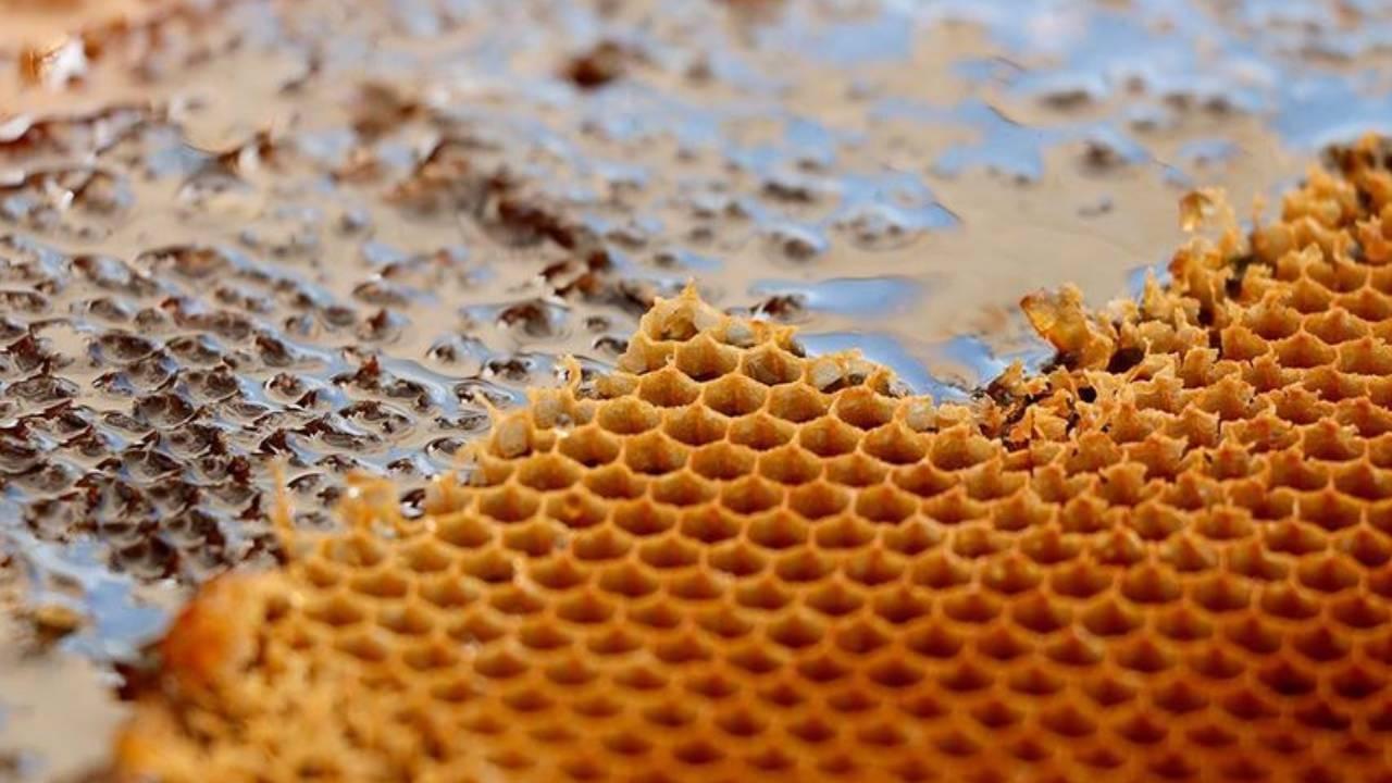 Türkiye'den 9 ayda 39 ülkeye bal ihracatı yapıldı