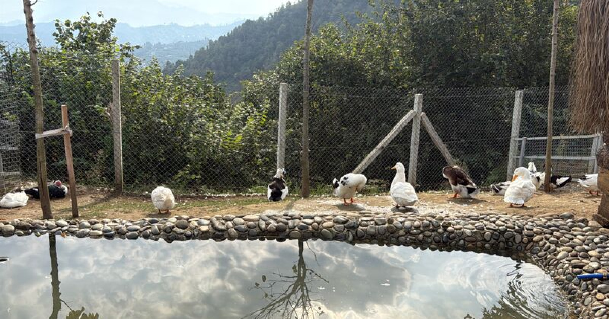 Rize Isırlık Tabiat Parkı'nda Hobi Hayvanat Bahçesi Açıldı