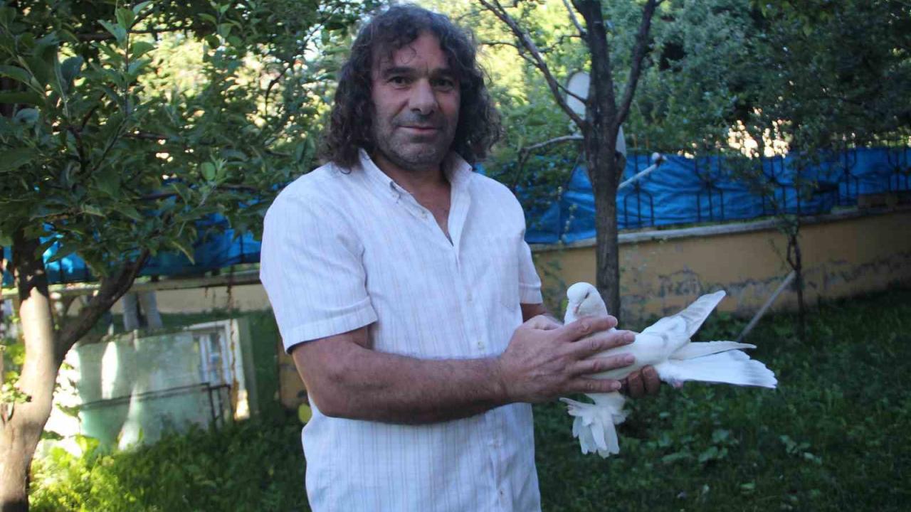 Erzurumlu uzun yol şoförünün Şebap cinsi 6 güvercinine 700 bin TL değer biçiliyor
