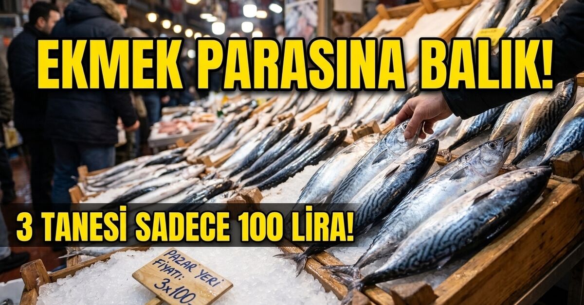 Rize'de palamut fiyatı düştü: 3 tane iri palamut 100 lira