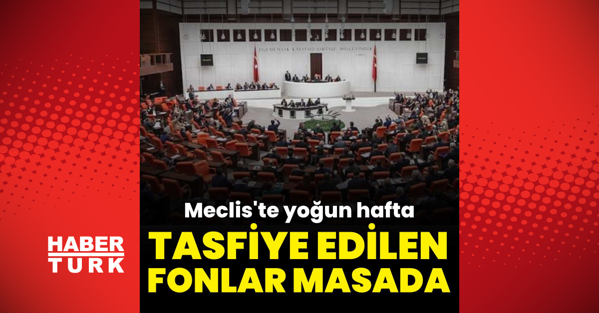 TBMM'de Yatırım Fonu Tasfiye Teklifi Gündemde