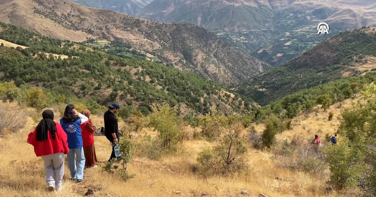 Bitlis Hizan'da yaşlı çiftin üzüm hasadını gençler yaptı