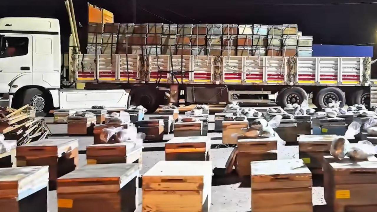 Hakkari Yüksekova'da arı kovanlarında 91 kilogram uyuşturucu yakalandı