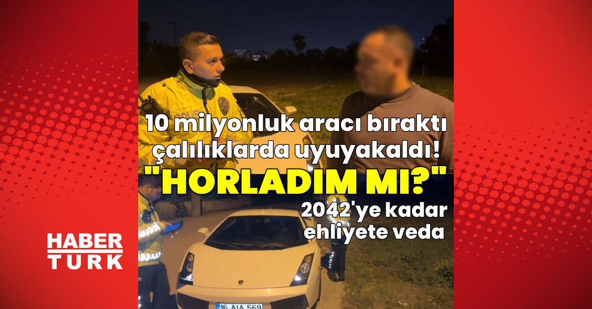 Bursa'da 10 milyonluk araçla kaçan sürücü çalılıkta uyurken yakalandı