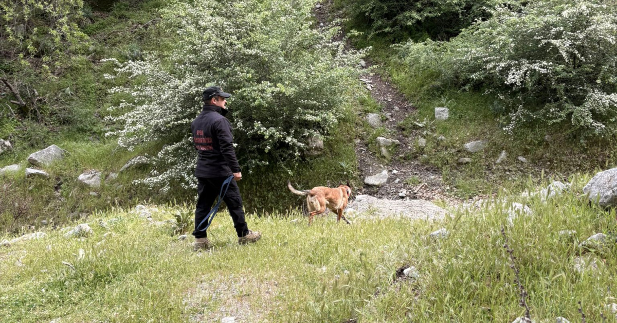 Sivas Divriği'de 11 aylık Büşra Balıkçı'yı arama çalışmaları sürüyor