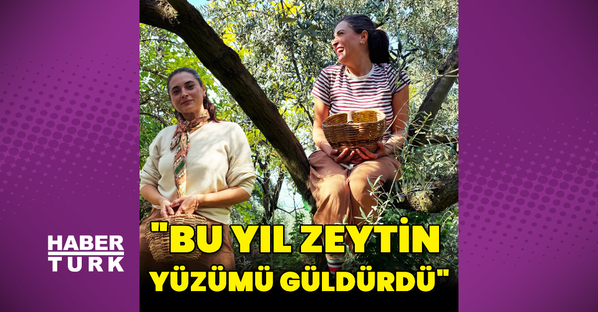 Aslıhan Gürbüz Ayvalık'taki bahçesinde zeytin topladı