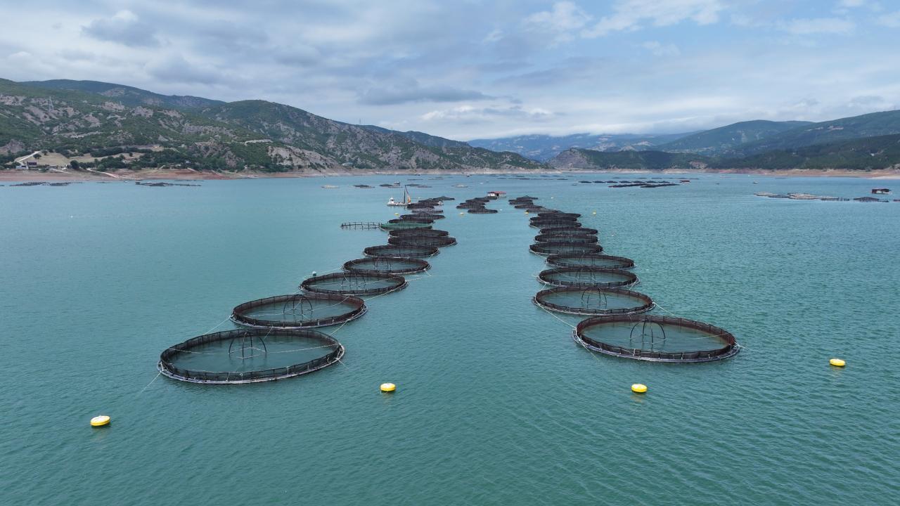 IPARD III kapsamında 95 projeye 1,2 milyar lira hibe verildi