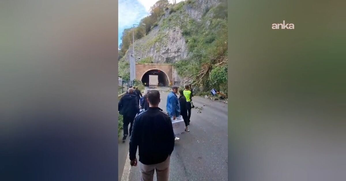 Artvin Hopa'da heyelan: Ağaçlar araçların üzerine devrildi