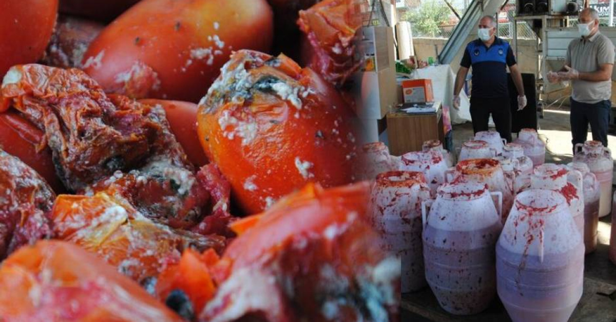 Şanlıurfa'da imalathanede çürük domates ve küflü salça ele geçirildi
