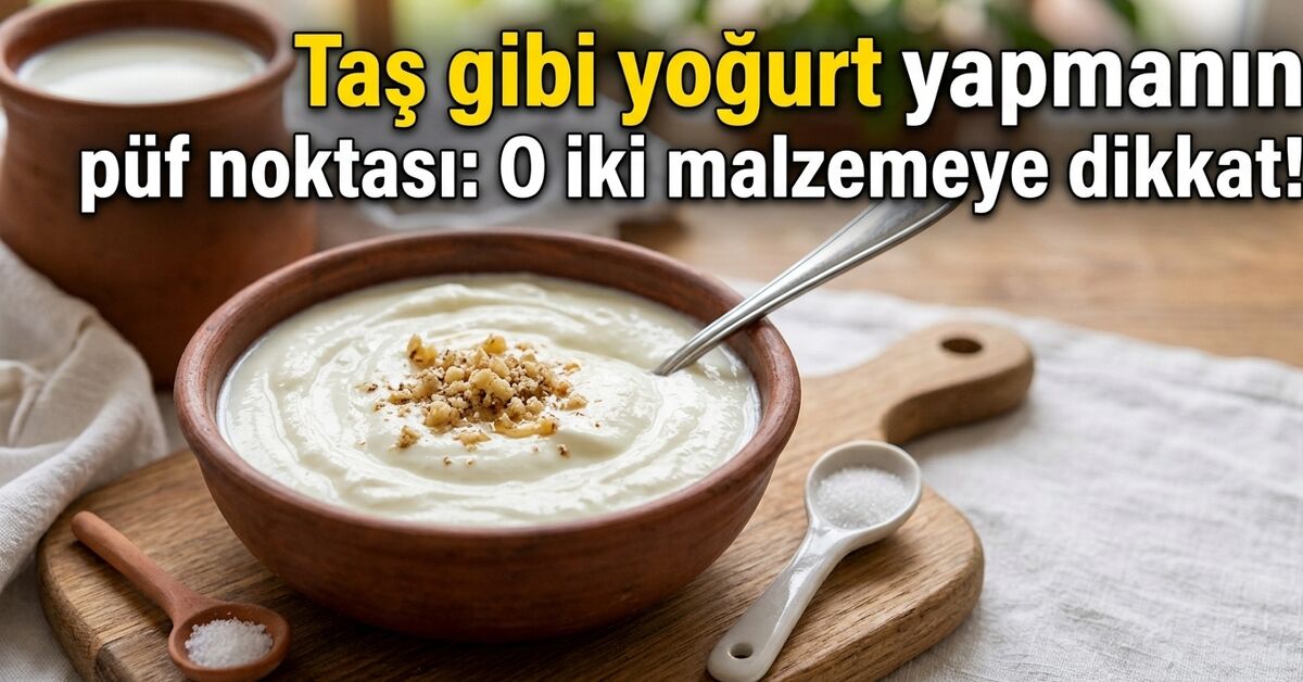 Evde taş gibi yoğurt yapmanın ve ekşimesini önlemenin püf noktaları