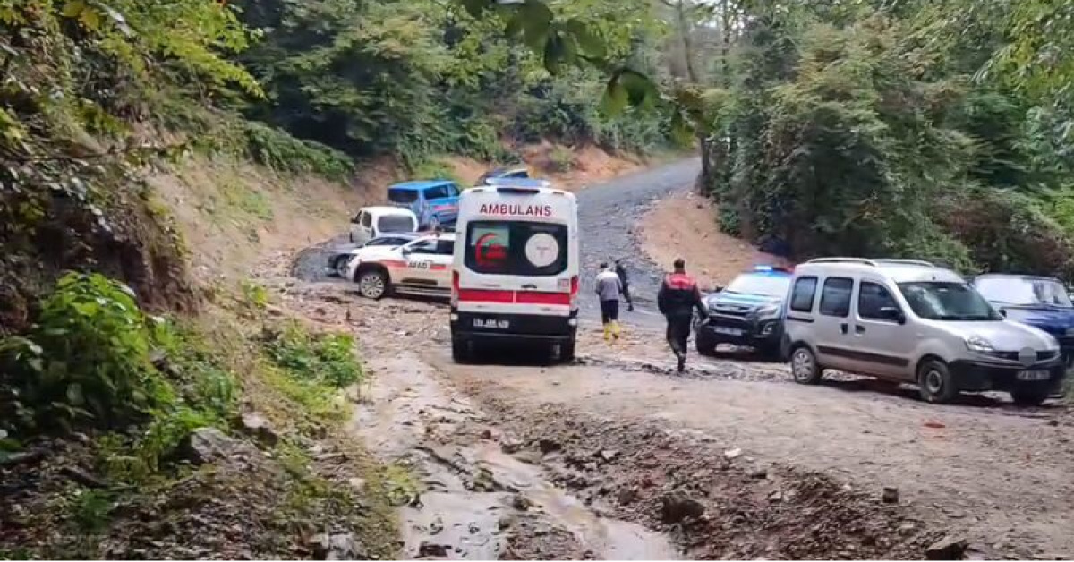 Sakarya Sapanca'da kestane toplamak için ormana giden Durmuş Duran ölü bulundu