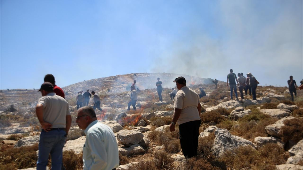 İşgalci İsrailliler Nablus'ta Filistinli çiftçilere saldırdı