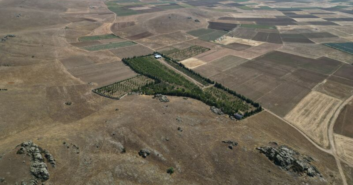 Afyonkarahisar'da emekli öğretmen kıraç araziyi 4 bin ağaçlı bahçeye çevirdi