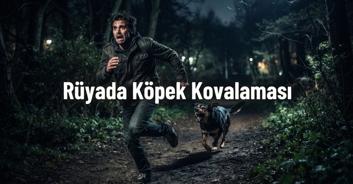 Rüyada köpek kovalaması ne anlama gelir?