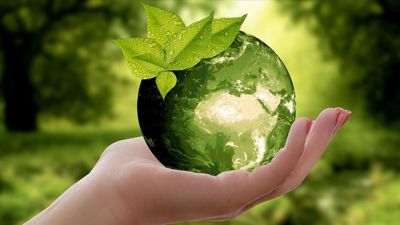 Sıfır Atık Projesi COP31 Gündemine Taşınıyor