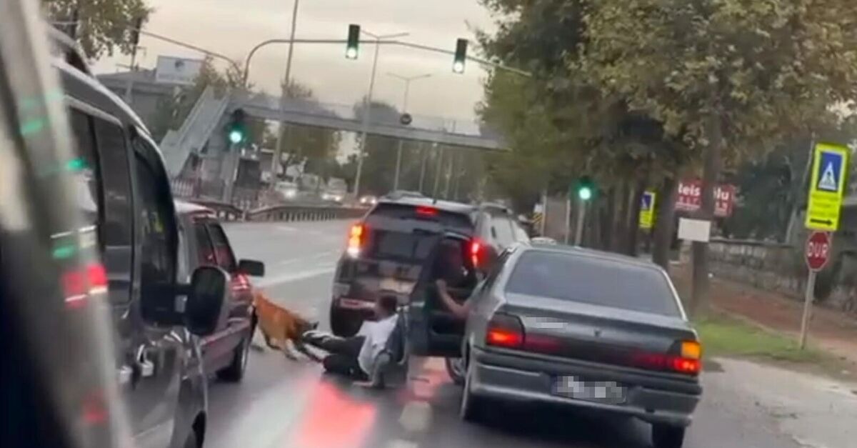 Sakarya Adapazarı'nda zinciri kopuk köpek vatandaşa saldırdı