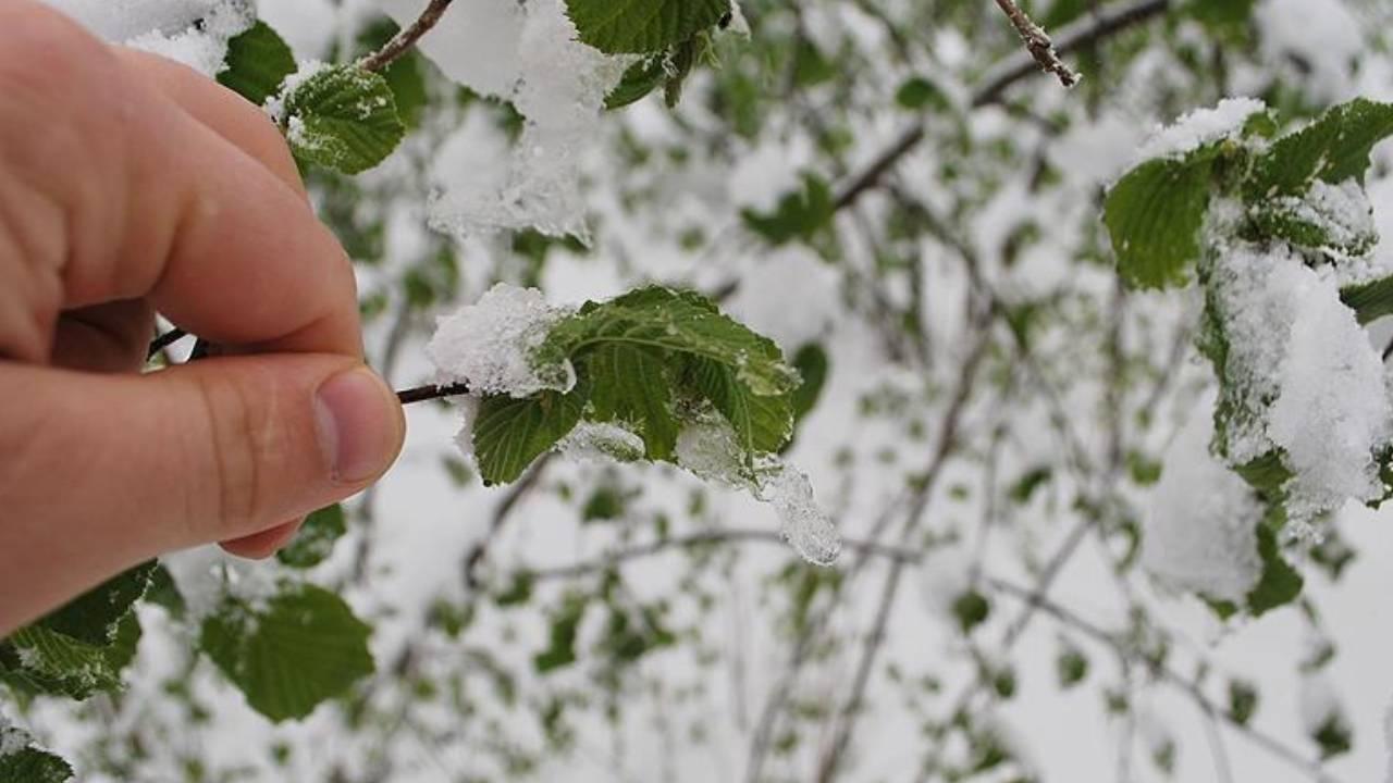 TARSİM teminat kapsamındaki ürün sayısı 2027'de 25'e yükseltildi