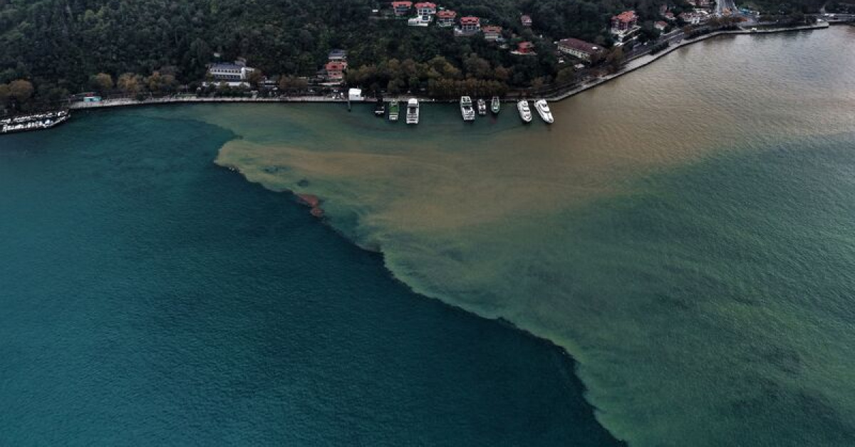 İstanbul, Bursa ve Ordu'da Sağanak Sonrası Deniz Kahverengiye Döndü
