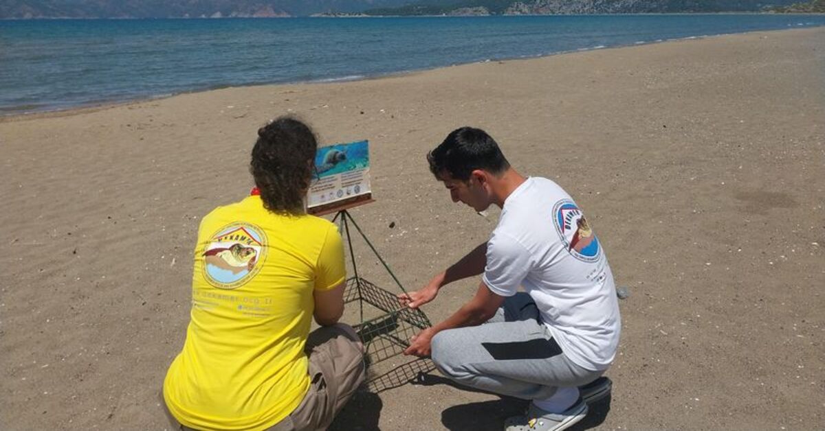 İztuzu Sahili'nde caretta caretta yuvası sayısı 10'a ulaştı