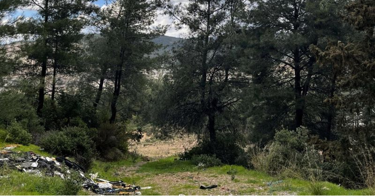 Danıştay'dan Akbelen Kararı: 679 Parselin Kamulaştırılmasına Onay