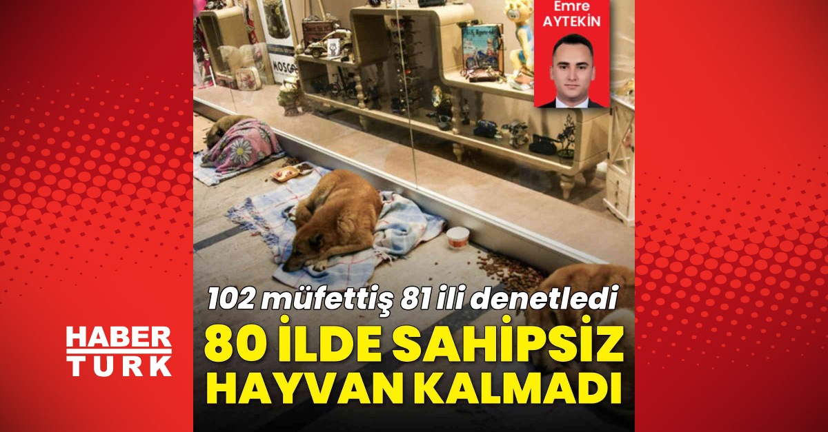 Sahipsiz hayvan denetim raporu: 80 ilde sokakta hayvan kalmadı