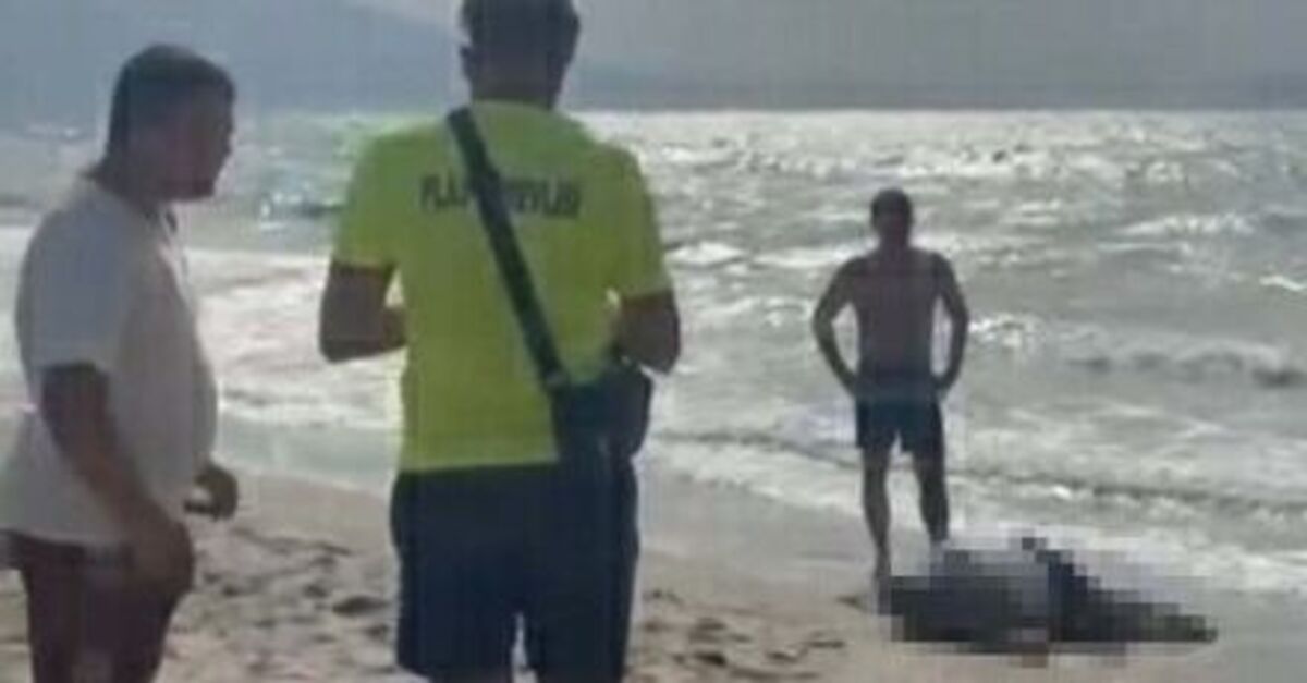 Kuşadası'nda yattan düşen Rıza Muslu'nun cesedi bulundu