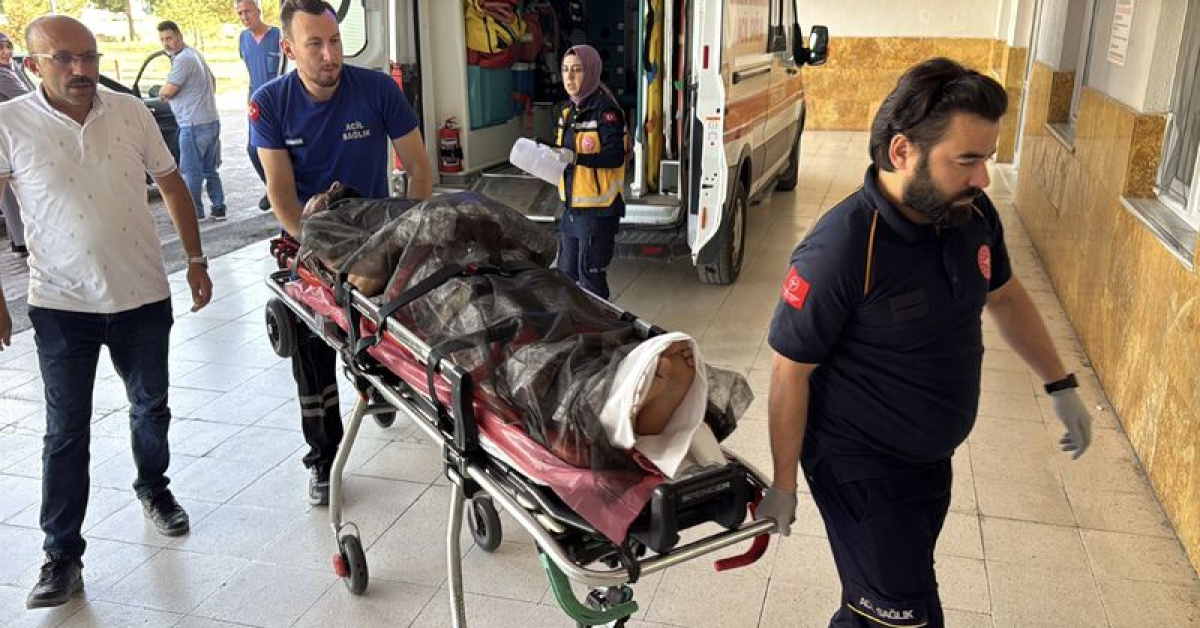 Sivas Zara'da Ayı Saldırısına Uğrayan Çoban Yaralandı
