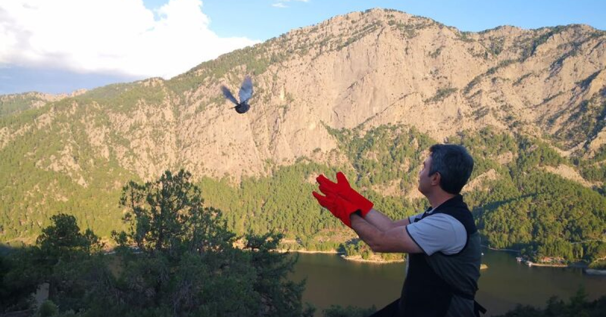 Burdur'da 200 çil keklik doğaya bırakıldı