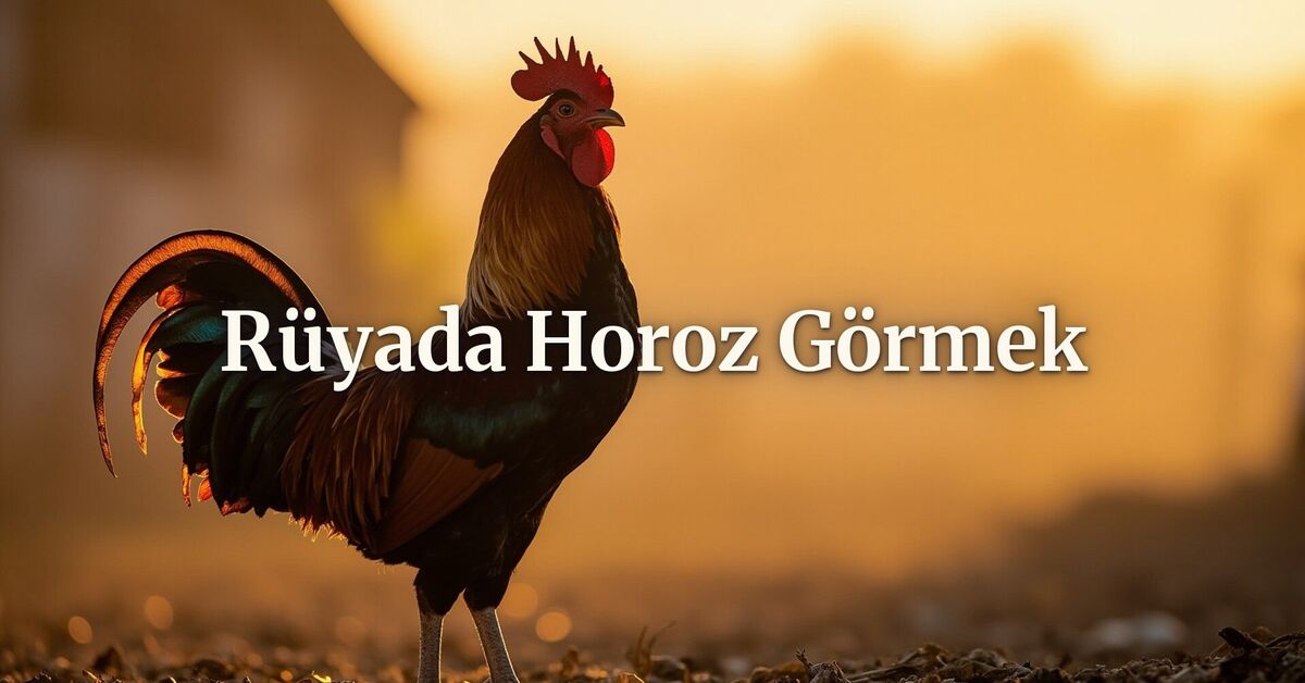 Rüyada horoz görmek ne anlama gelir?