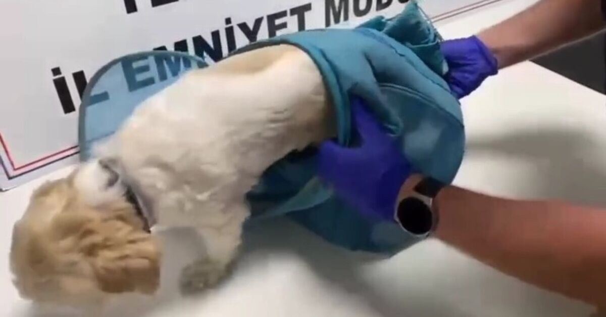 Tekirdağ'da pusetli uyuşturucu operasyonu: 18 tutuklama