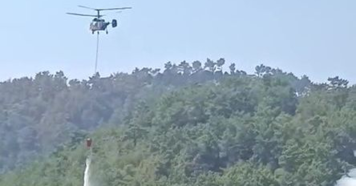 Adana Kozan orman yangını: Soğutma sahasında yeniden alevler yükseldi