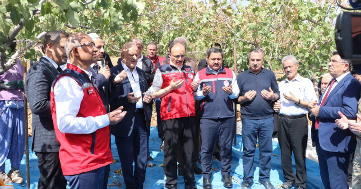 Siirt Fıstığı Doğa ve Kültür Festivali düzenlendi