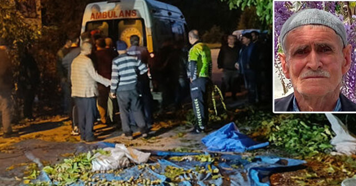 Burdur'da ceviz ağacından düşen 78 yaşındaki Ramazan Kalyon hayatını kaybetti